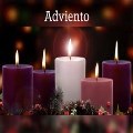 Adviento, rica en anticipación